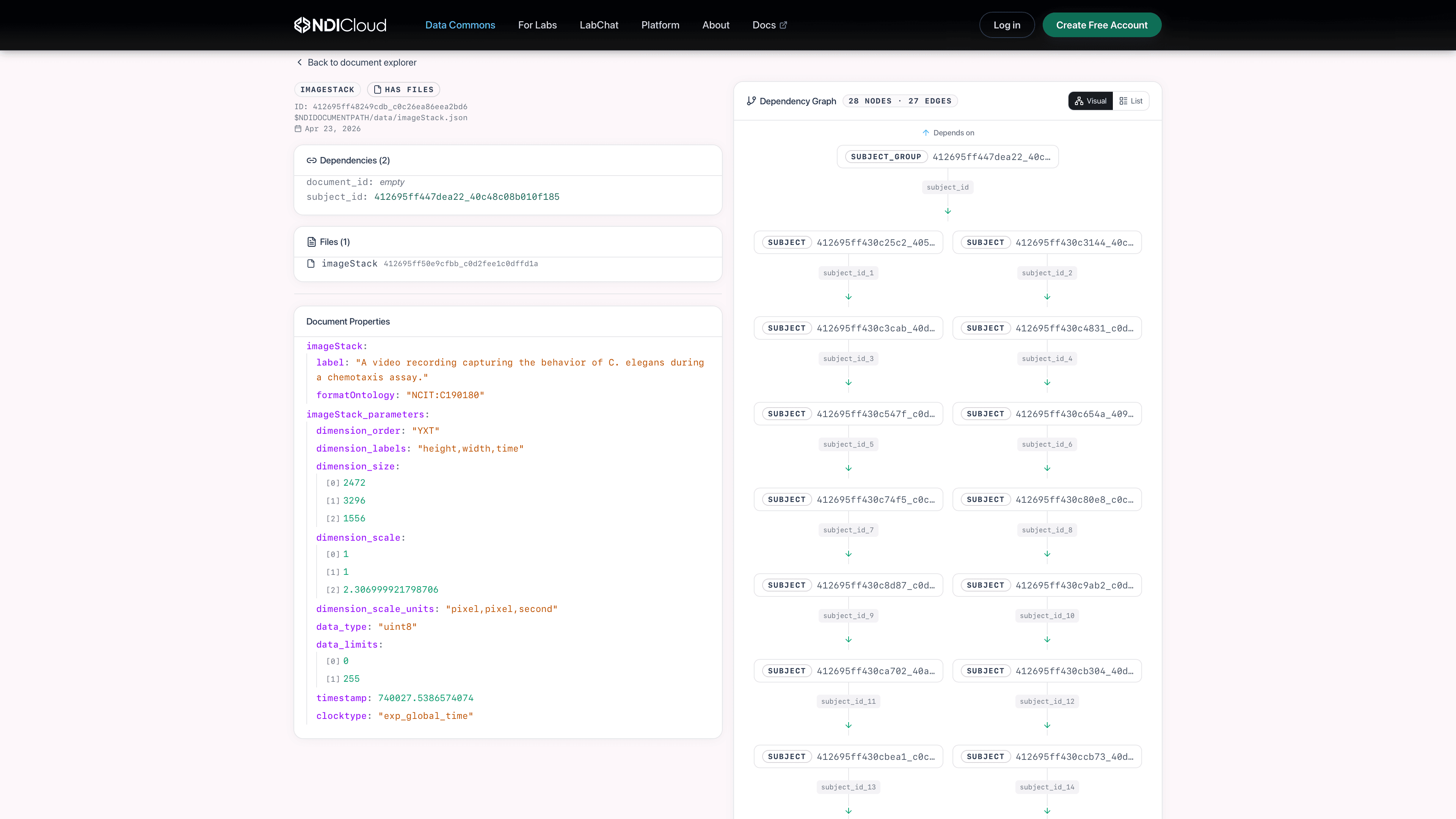 NDI Data Browser document detail: an imageStack document's structured properties (label, dimension order, scale, timestamps, clocktype) on the left with a 28-node dependency graph showing the document's relational links to subjects and subject groups on the right